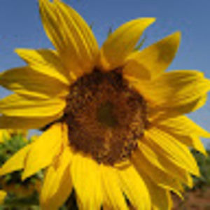 Meet your Posher, Beauty